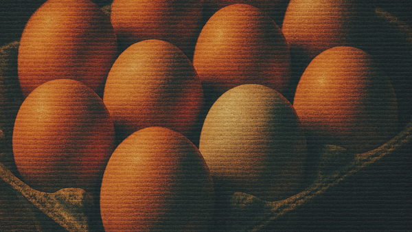 Factory Farms Invade the EU: Now With More Misery Per Hectare!